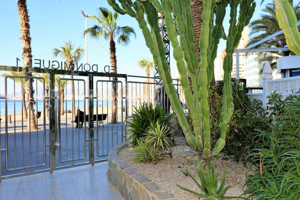 Luxurious 2-Bedroom Apt With Stunning Views, 1St Line On Levante Beach, Бенидорм Экстерьер фото